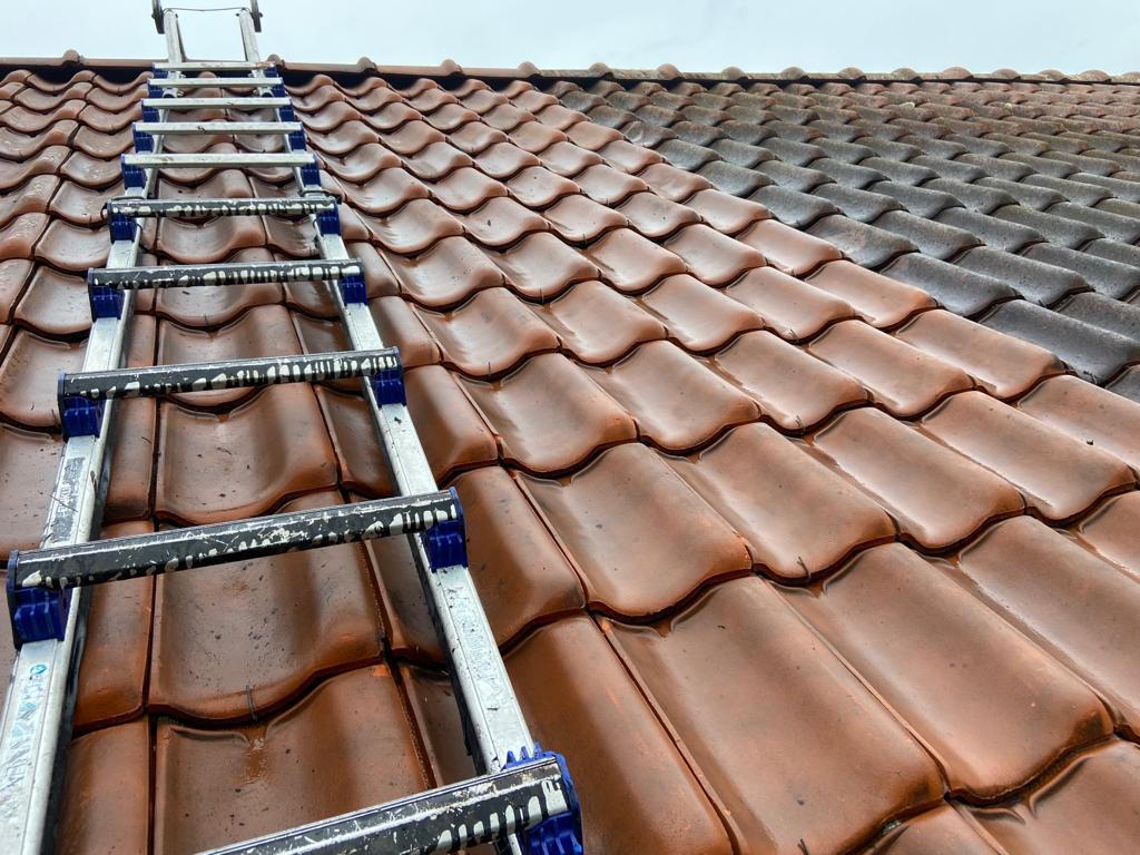 WhatsApp Image 2025-01-31 at 14.32.45 (1)