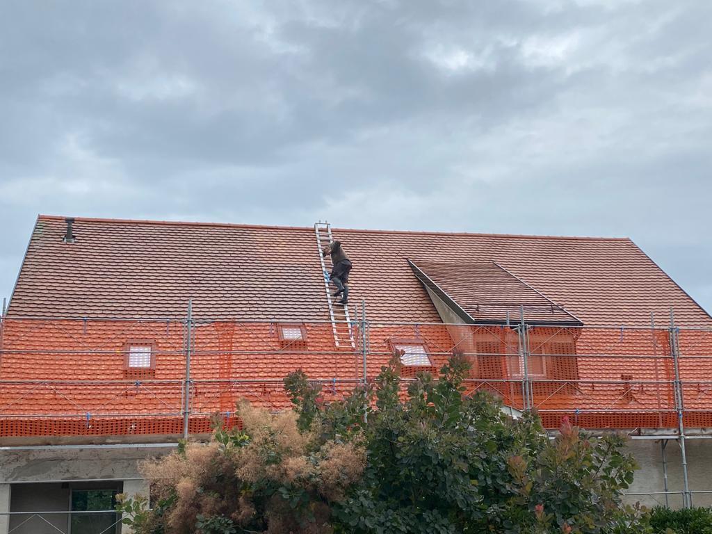 WhatsApp Image 2025-01-31 at 14.33.53 (1)