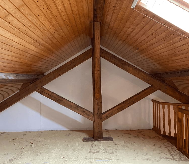 WhatsApp Image 2025-01-31 at 14.33.54 (3)