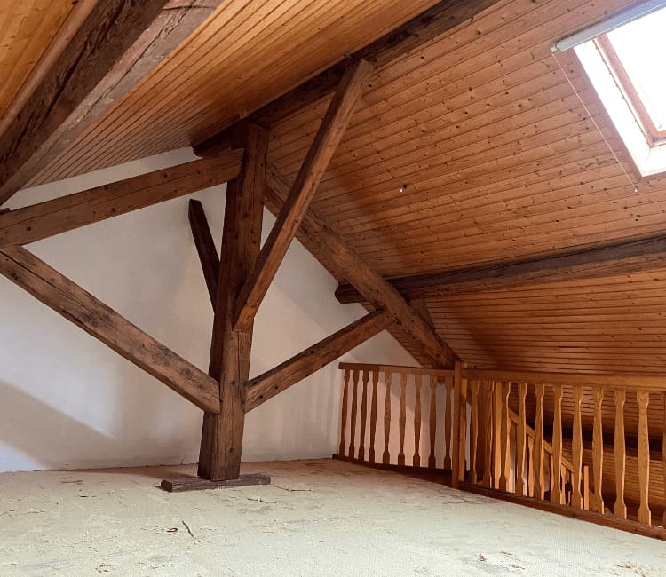 WhatsApp Image 2025-01-31 at 14.33.54 (5)